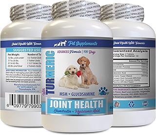 Dog Joint and Hip Supplement Senior - Turmeric Joint Health for Dogs - Advanced Formula for Joints - Dog Turmeric glucosamine - 1 Bottle (60 Tablets)