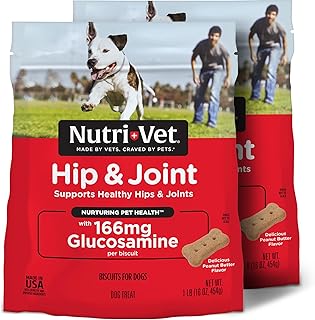 Nutri-Vet Hip & Joint Biscuits, Dog Joint Supplement, Dog Treat, Small Sized Biscuit with 166mg Glucosamine, Puppy Supplements, Tasty Glucosamine Treat, Puppy Essentials, 16 oz (Pack of 2)
