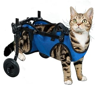 Pet Wheelchair for Leg Support Helps Senior， Wheelchair for Back Legs，Adjustable Pet Cart，Assist a paralyzed pet get Back on its feet，Support Leg Brace and Hip(Small)