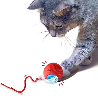Interactive Cat Toy Ball | Automatic Moving, Mouse Tail Design | Rechargeable 3-Mode Rolling Toy for Indoor Kittens & Adult Cats (Red)