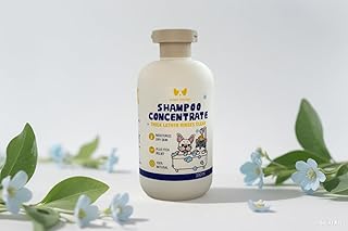 What The Pet, Natural Pet Shampoo for Cats & Dogs - Oatmeal & Coconut Soothe Itchy Skin, Reduce Shedding | Hypoallergenic, Alcohol-Free | Long-Lasting Freshness
