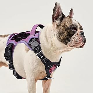 Petnany No-Pull Tactical Dog Harness - Service Vest for S Breeds w/Reflective Strips, Padded Handle & AirTag Pocket | Escape-Proof Design for French Bulldogs, Corgis, Beagles | City Walks & Support
