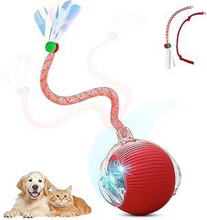 Interactive Cat Toy Ball for Indoor Cats, Motion Activated Cat Ball with 3 Speeds, 2 Replaceable Tails, Safe Material Kitten Toys, USB Charging, 360° Smart Rolling Ball for Bored Adult Cats and Dogs