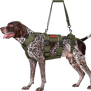OneTigris Breathable Dog Lift Harness for Medium Sized Dogs, Dog Sing for Large Dogs Hind Leg Support, Hip Support Brace Front Leg Vrace (Green, X-Large)