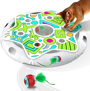Interactive Cat Toys Maze Game Mouse Catching for Indoor Cats