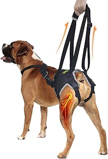 Dog Sling for Medium Dogs, Back Leg Support Harness for Mobility Assistance, Helps Support Dogs with Joint Issues, Walking Aid with Reflective Material, Size M