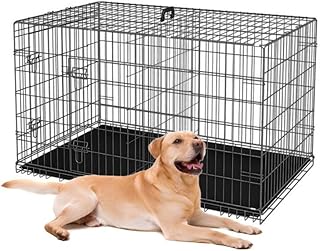 24-Inch Folding Metal Dog Crate for Small Breeds – Double Door, Removable Tray, and Carry Handle – Ideal for Indoor - Black