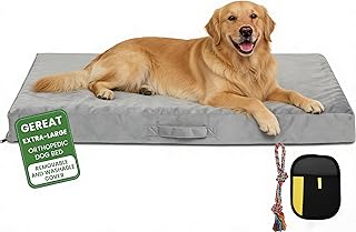 Orthopedic Dog Bed for Extra Large Dogs 44x30 Inches, 28D Egg Crate Foam Pet Bed with Non-Slip Bottom, Waterproof Dog Bed with Removable Washable Cover, Hair Removal Glove, and Chew Knot