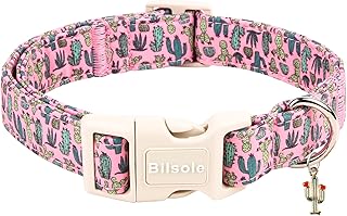 Cactus Dog Collar Cute Durable Spring Summer Pet Collar with Plastic Buckle for Girl Puppy Small Dogs