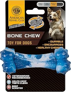 American Kennel Club Training Ombre Bone Chew Dog Toy – Moderate Chewers, Durable & Long-Lasting, Supports Dental Health