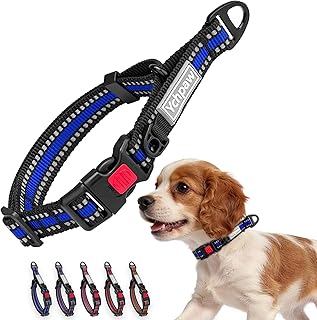 Martingale Collar for Dogs Reflective Collar with Quick Release Buckle, Adjustable Nylon Collars for No Slip Dog Collar, Blue, XS