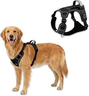 3-in-1 No Pull Dog Harness Safety Kit with Built-in Tracking Tag Holder (Tag Not Included) | Escape-Proof Nylon Harness with Light Reflect Stitching, Flex Belt & Clip-On Light for Night – (Small)