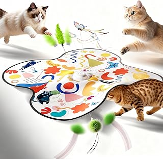 Aktor Interactive Cat Toys 13
