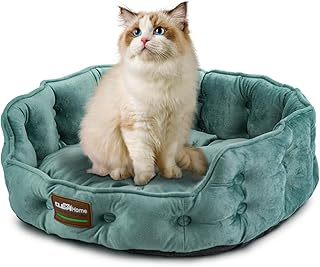 ClevaHome Cat Dog Bed for Small Pets up to 15lbs - Round Cat Beds for Indoor Cats, Machine Washable Comfortable Pet Bed for Puppy and Kitten with Non-Slip Bottom (Washed Green)