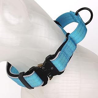 Heavy-Duty Reflective Martingale Dog Collar, Half-Choke Adjustable Tightening Escape-Proof Training Collar for Medium and Large Dogs (Blue, L(W0.98*Neck 16-24"))