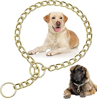 Chain Collar for Small Dogs, Metal Slip Link Training Heavy Duty Dog Choker Collar Martingale Puppy Collars for XS Small Medium Large Big XL Breed Dogs (Gold, XS(Neck Max 12inch) D2.0mm)