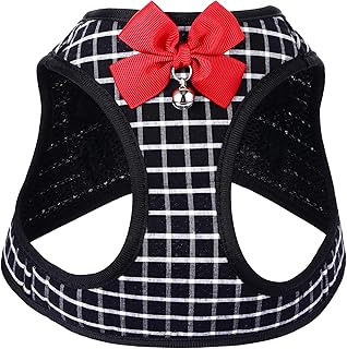 VICASKY Dog Harness Set with Chest Strap, Small Dog Vest Harness and Leash Set, Adjustable Black L Size for Puppies and Cats, Pet Walking and Training Accessories