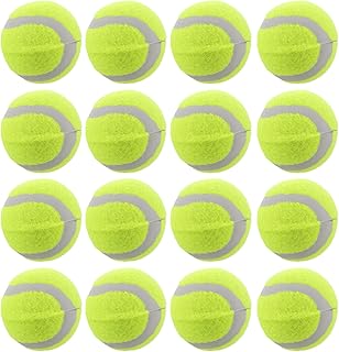 Homoyoyo 22pcs Bouncy Dog Tennis Balls Rubber Chew Interactive Training Fetch Balls for Small Medium Large Dogs Pet Exercise and Play Supplies