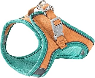 SUPVOX Cat Harness and Leash Set with Reflective Chest Strap, Breathable Soft Vest Adjustable Kitten Traction Rope for Outdoor Walking and Travel, Size S Orange-Green