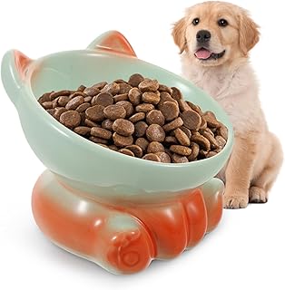 Ceramic Elevated Tilted Cat Bowls with Anti-Slip Base, Raised Pet Food and Water Feeder for Indoor Cats and Kittens, Whisker-Friendly High Feeding Station in Gradient Orange-Green