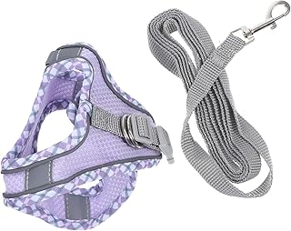 Small Cat Harness Vest Reflective Strips, XXS Lightweight Escape-Proof Mesh Harness and Leash Set for Kitten Walking and Outdoor Use