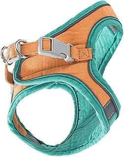 Cat Harness and Leash Set, Kitten Chest Strap Reflective Soft Vest Harness with Anti-Pull Design for Outdoor Walking, Small Orange-Green Adjustable Pet Traction Strap